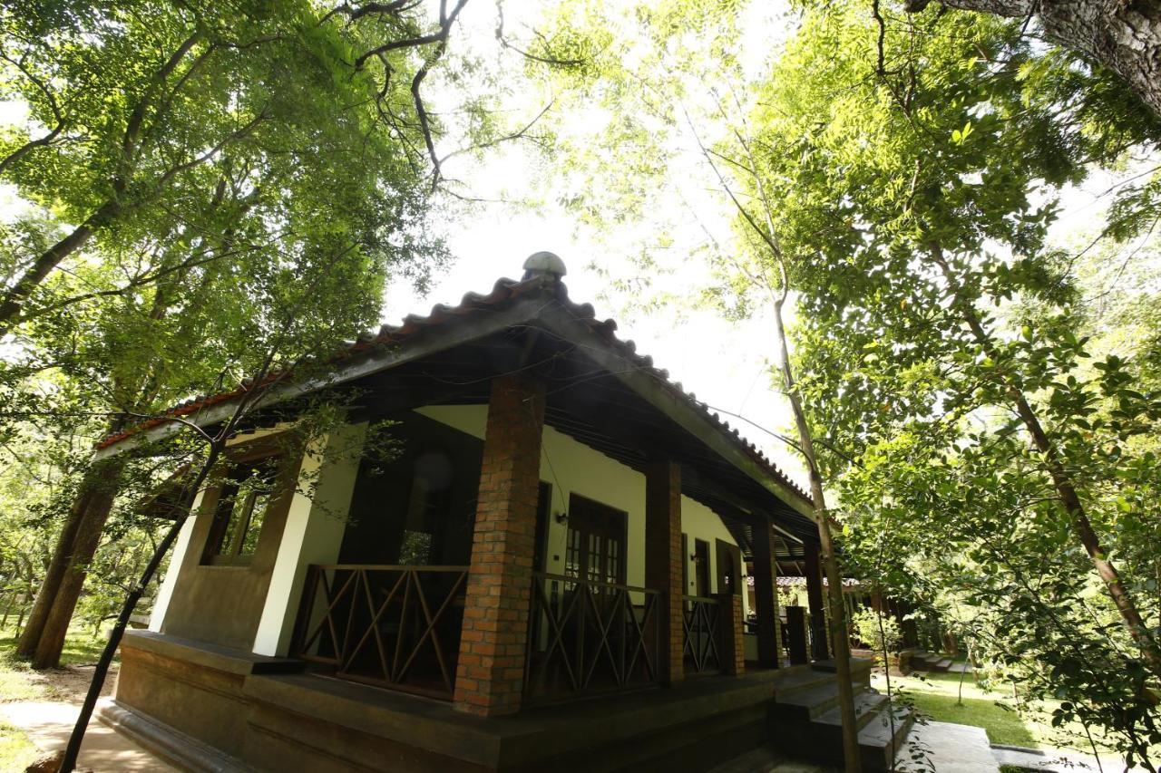 Palm Garden Village Hotel Anurâdhapura Extérieur photo